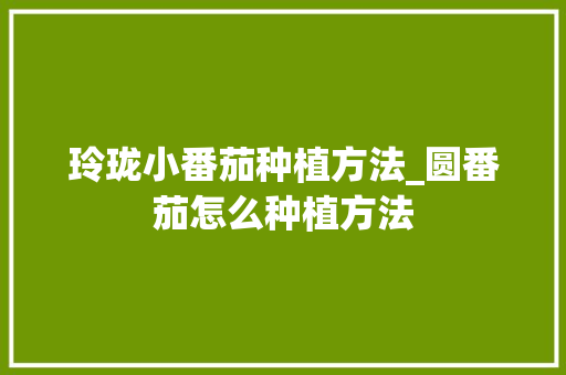 玲珑小番茄种植方法_圆番茄怎么种植方法 植物种类 玲珑小番茄种植方法_圆番茄怎么种植方法 玲珑小番茄种植方法_圆番茄怎么种植方法 植物种类