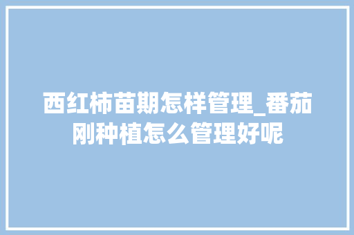 西红柿苗期怎样管理_番茄刚种植怎么管理好呢 西红柿苗期怎样管理_番茄刚种植怎么管理好呢 农业常识