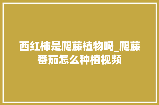 西红柿是爬藤植物吗_爬藤番茄怎么种植视频