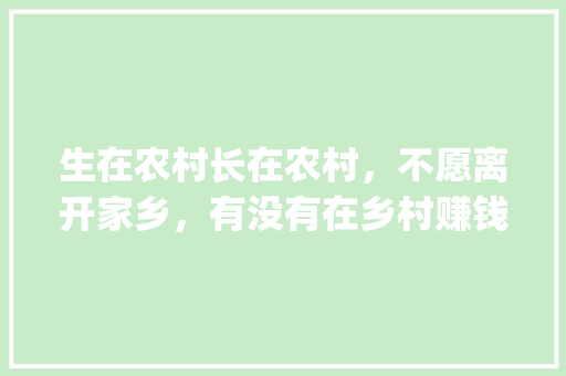 生在农村长在农村，不愿离开家乡，有没有在乡村赚钱的门路_迷你小番茄怎么种植视频教程 生在农村长在农村，不愿离开家乡，有没有在乡村赚钱的门路_迷你小番茄怎么种植视频教程 土壤施肥