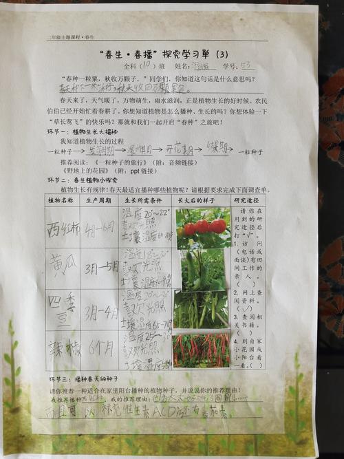 番茄表单相比其他问卷表单制作工具有什么特点「番茄种植小问卷怎么写的」 番茄表单相比其他问卷表单制作工具有什么特点「番茄种植小问卷怎么写的」 番茄种植技巧