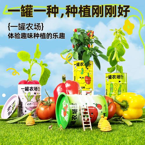 种子库小番茄有什么优质高产品种推荐「台南番茄种子怎么种植的」 种子库小番茄有什么优质高产品种推荐「台南番茄种子怎么种植的」 番茄种植技巧