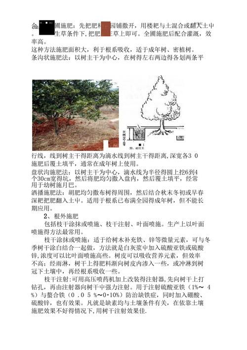 污染泥土施肥方法,污染泥土施肥方法。 污染泥土施肥方法,污染泥土施肥方法。 土壤施肥