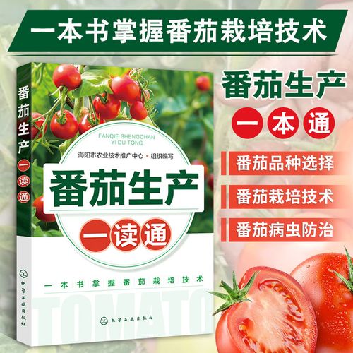 番茄春露地栽培技术要点有哪些「番茄怎么种植才能变沙质」 番茄春露地栽培技术要点有哪些「番茄怎么种植才能变沙质」 土壤施肥