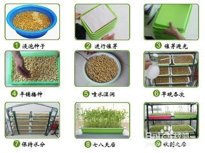家庭种植蔬菜小妙招「盘点蔬菜种植小技巧和方法」 家庭种植蔬菜小妙招「盘点蔬菜种植小技巧和方法」 番茄病虫害防治
