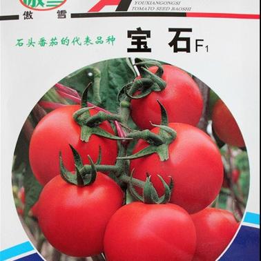 2019年秋冬季有哪些值得购买的口红可以推荐「坂田公司番茄种子」 2019年秋冬季有哪些值得购买的口红可以推荐「坂田公司番茄种子」 番茄病虫害防治