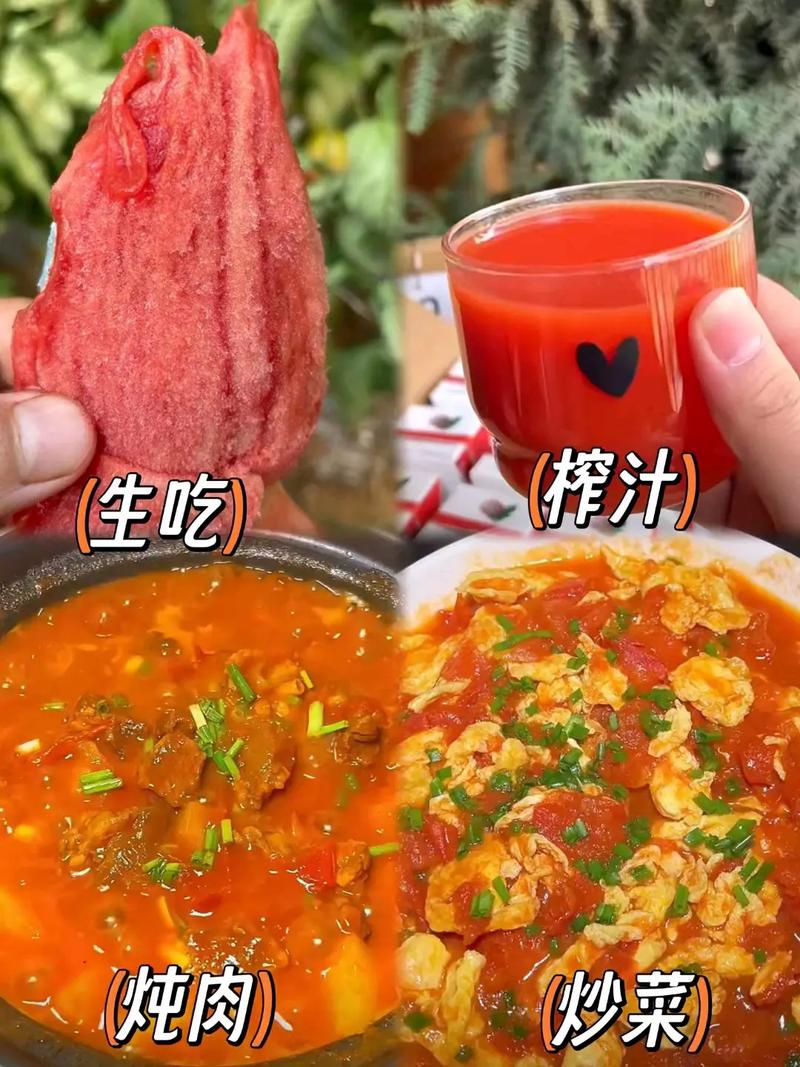 黄芒果番茄的种植「芒果蜜番茄种子怎么种植的」 黄芒果番茄的种植「芒果蜜番茄种子怎么种植的」 番茄病虫害防治