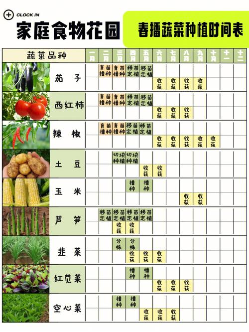 十个蔬菜种植的小妙招「蔬菜种植技巧和时间图片」 十个蔬菜种植的小妙招「蔬菜种植技巧和时间图片」 农业常识