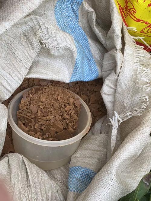 菜籽饼什么时候施肥最合适「番茄种植豆粕怎么施肥的」 菜籽饼什么时候施肥最合适「番茄种植豆粕怎么施肥的」 番茄种植技巧