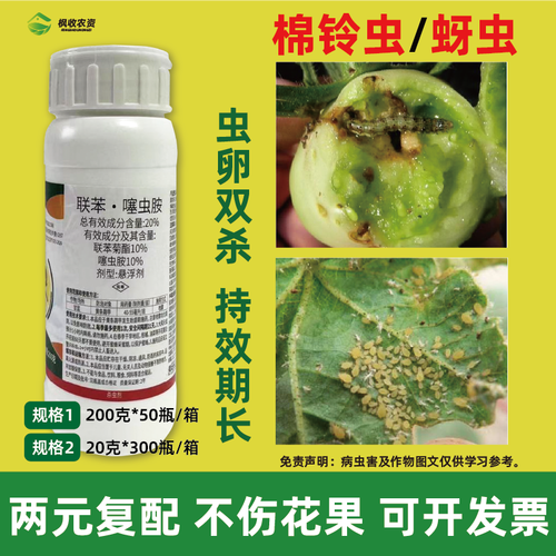 西红柿什么时候打虫药「种植小番茄怎么驱虫的」 西红柿什么时候打虫药「种植小番茄怎么驱虫的」 番茄种植技巧