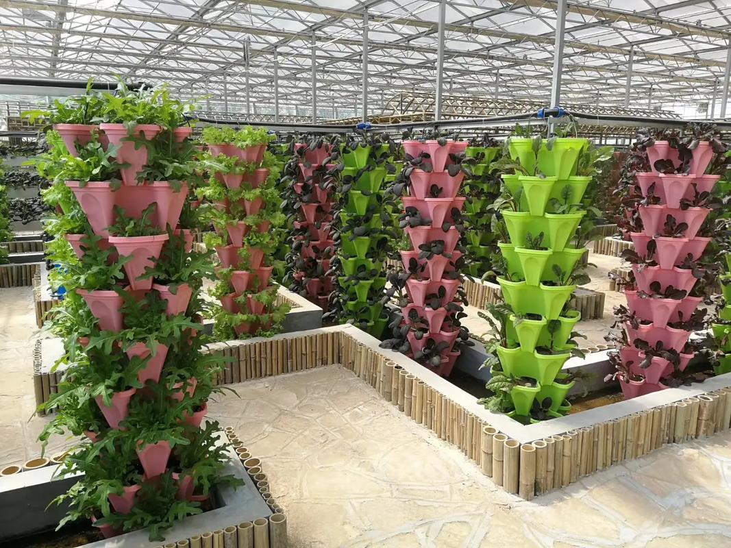 无土栽培鲜花或者蔬菜的方法是什么「蔬菜种植小技巧无土栽培视频」 无土栽培鲜花或者蔬菜的方法是什么「蔬菜种植小技巧无土栽培视频」 番茄种植技巧