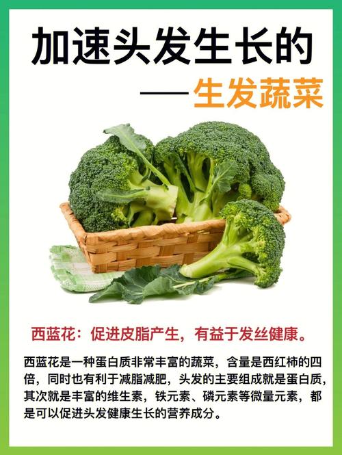 多吃绿叶蔬菜有助于头发长得快吗「在厨房种菜」 多吃绿叶蔬菜有助于头发长得快吗「在厨房种菜」 番茄种植技巧