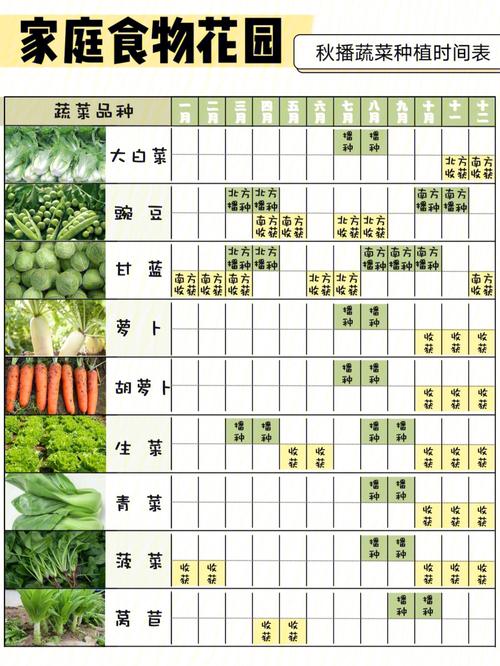 北方娃娃菜种植时间方法「北方蔬菜种植方法和技巧视频」 北方娃娃菜种植时间方法「北方蔬菜种植方法和技巧视频」 土壤施肥