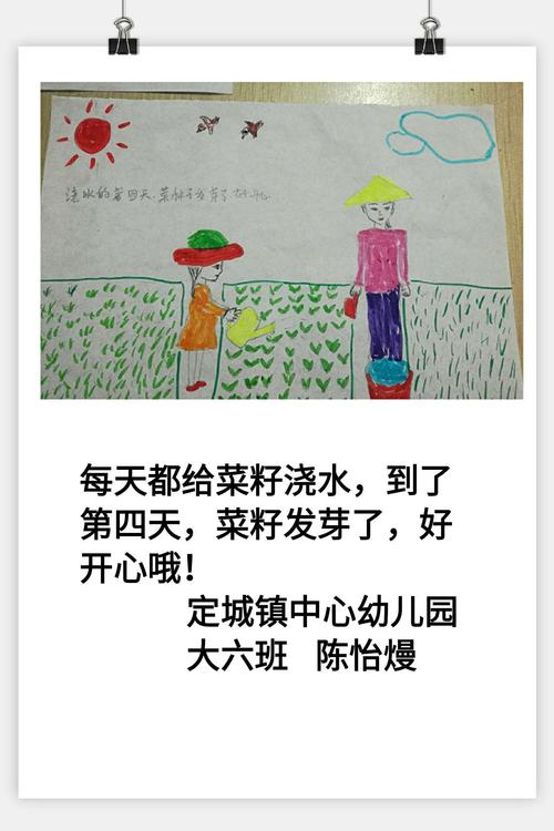 自家小院种菜文案「蔬菜种植小技巧文案简短一点」 自家小院种菜文案「蔬菜种植小技巧文案简短一点」 花朵知识