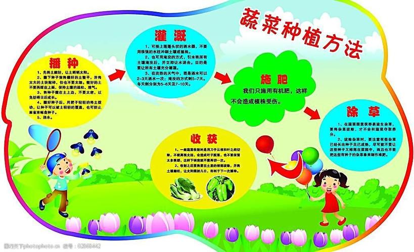 个体蔬菜店经营模式「蔬菜种植好技巧视频教程全集」 番茄病虫害防治 个体蔬菜店经营模式「蔬菜种植好技巧视频教程全集」 个体蔬菜店经营模式「蔬菜种植好技巧视频教程全集」 番茄病虫害防治