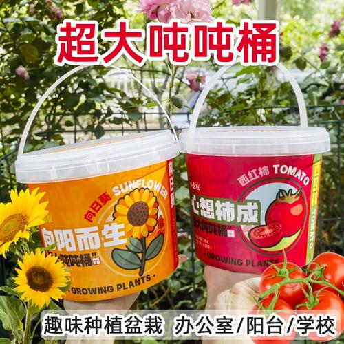 塑料油桶栽种西红柿怎么存活不了呢「油桶种植番茄怎么种植」 种植技巧 塑料油桶栽种西红柿怎么存活不了呢「油桶种植番茄怎么种植」 塑料油桶栽种西红柿怎么存活不了呢「油桶种植番茄怎么种植」 种植技巧