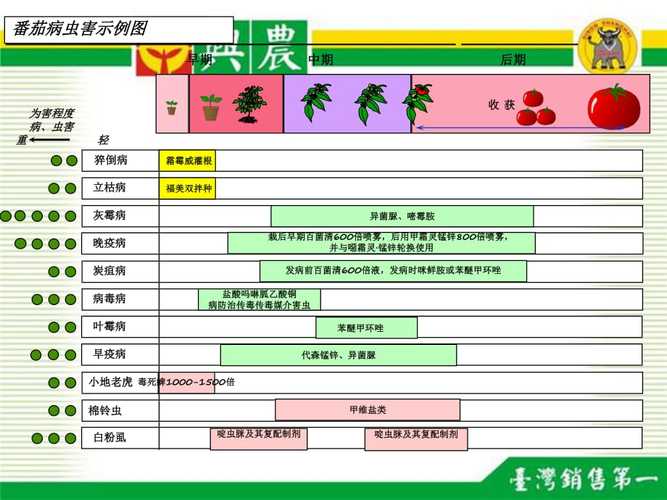 重庆地区早春番茄最佳播种时间「重庆番茄苗怎么种植的」 重庆地区早春番茄最佳播种时间「重庆番茄苗怎么种植的」 植物种类
