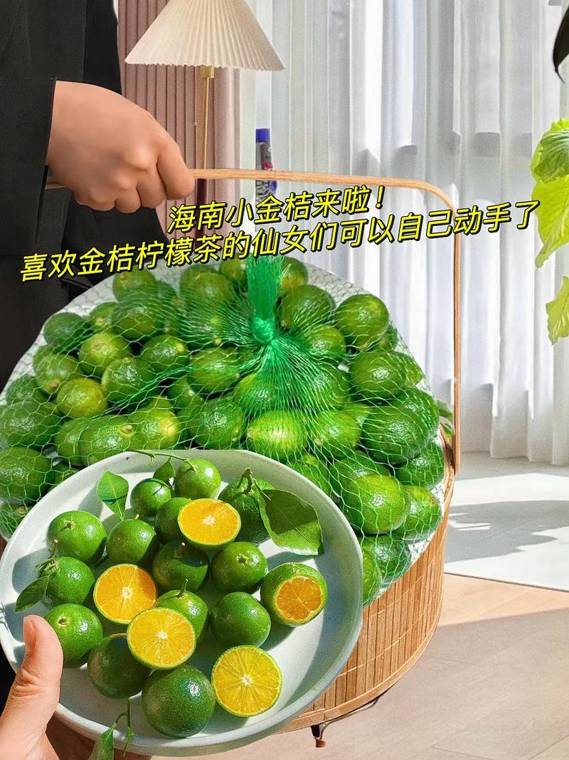 一千克橘子有多少个番茄「金桔番茄怎么种植视频教程」 一千克橘子有多少个番茄「金桔番茄怎么种植视频教程」 番茄病虫害防治