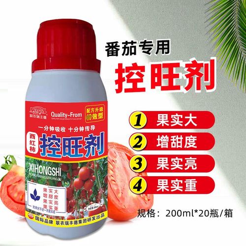 西红柿苗期控旺打什么药，有哪些注意事项呢「种植番茄怎么用药最好」 西红柿苗期控旺打什么药，有哪些注意事项呢「种植番茄怎么用药最好」 花朵知识