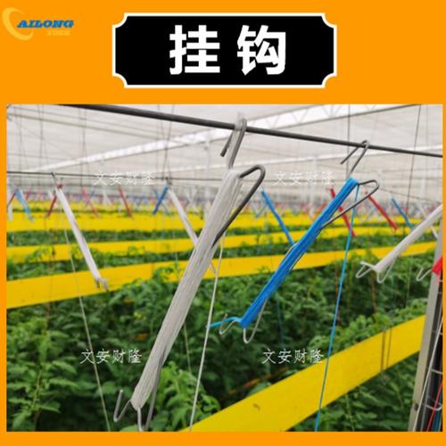 西红柿吊蔓铁丝网怎么弄的「番茄种植绳子怎么绑视频」 西红柿吊蔓铁丝网怎么弄的「番茄种植绳子怎么绑视频」 土壤施肥