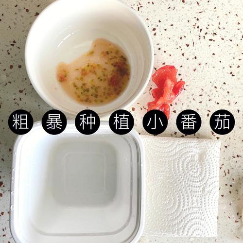 自己留的西红柿下一年可以作种子吗「番茄不买种子怎么种植呢」 自己留的西红柿下一年可以作种子吗「番茄不买种子怎么种植呢」 番茄种植技巧