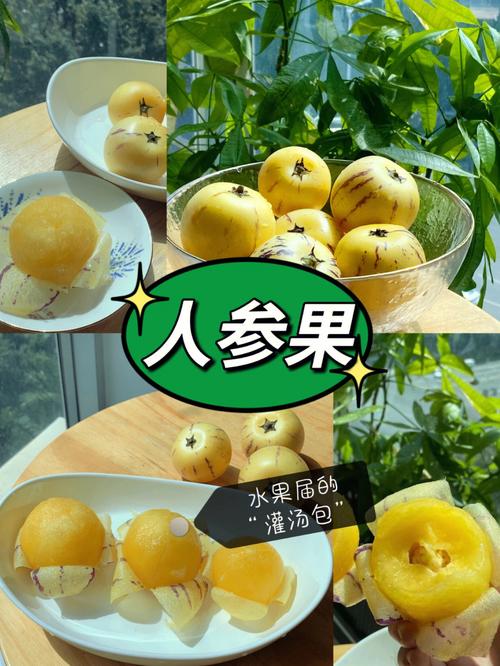 “抗癌之王”人参果的生长环境需要注意什么「番茄大王怎么种植视频」 “抗癌之王”人参果的生长环境需要注意什么「番茄大王怎么种植视频」 番茄种植技巧