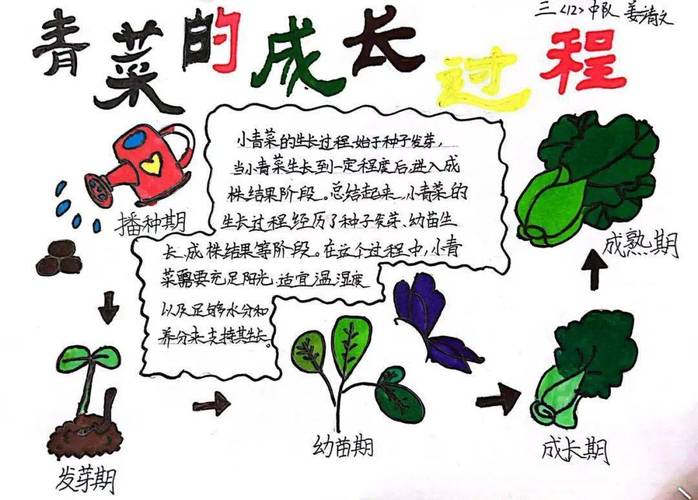 自己种菜，田园生活的诗词「田园蔬菜种植小技巧视频」 自己种菜，田园生活的诗词「田园蔬菜种植小技巧视频」 农业常识