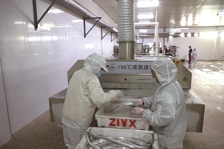 建个液氮速冻冷库怎么样「液氮番茄怎么样种植视频」 建个液氮速冻冷库怎么样「液氮番茄怎么样种植视频」 花朵知识