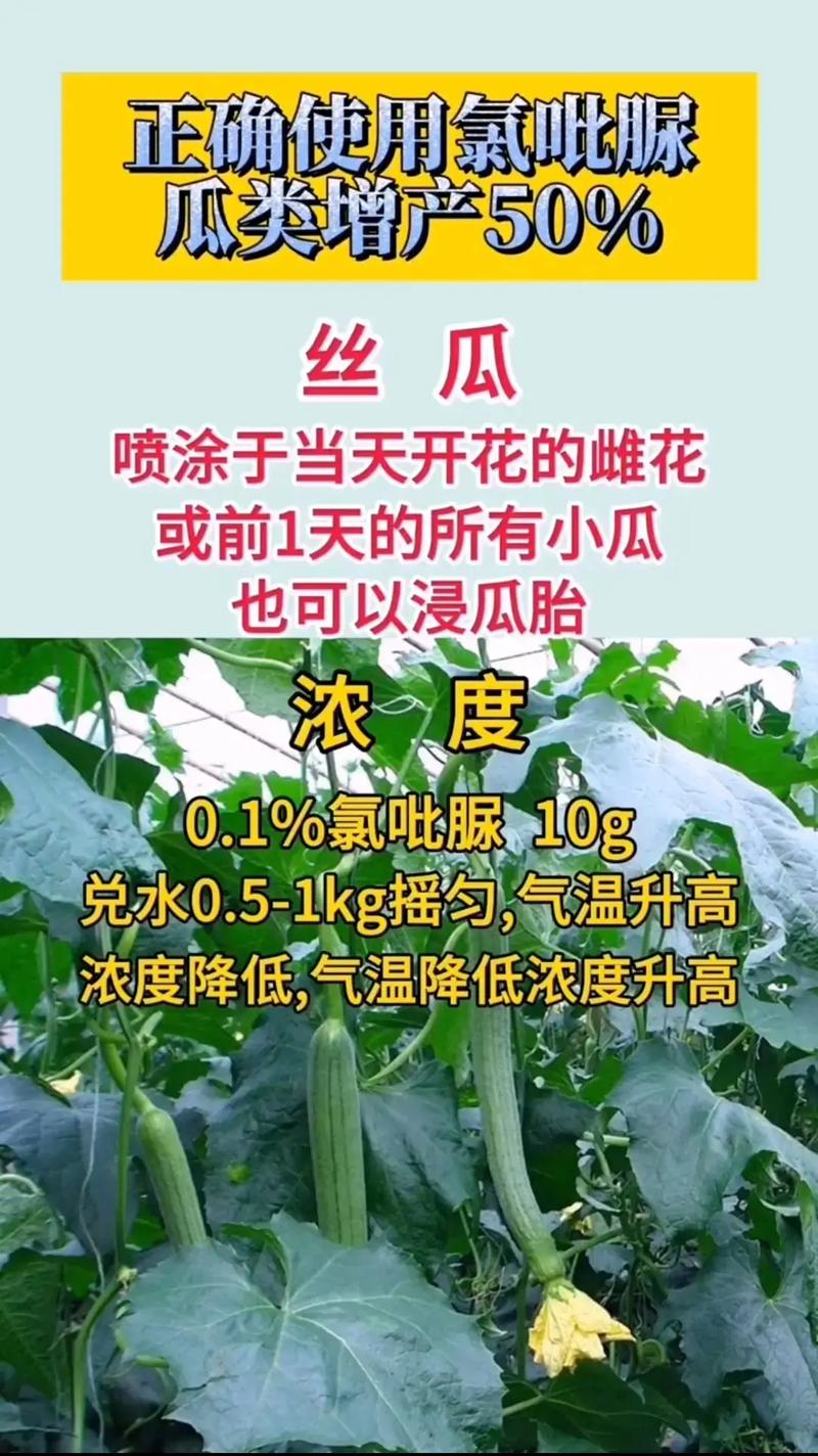 三农自媒体的视频有哪些可以拍「三农蔬菜种植技巧视频讲解」 三农自媒体的视频有哪些可以拍「三农蔬菜种植技巧视频讲解」 土壤施肥