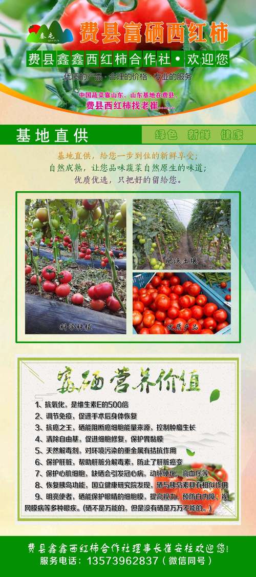 农家西红柿文案「大棚种植番茄文案怎么写好」 农家西红柿文案「大棚种植番茄文案怎么写好」 农业常识