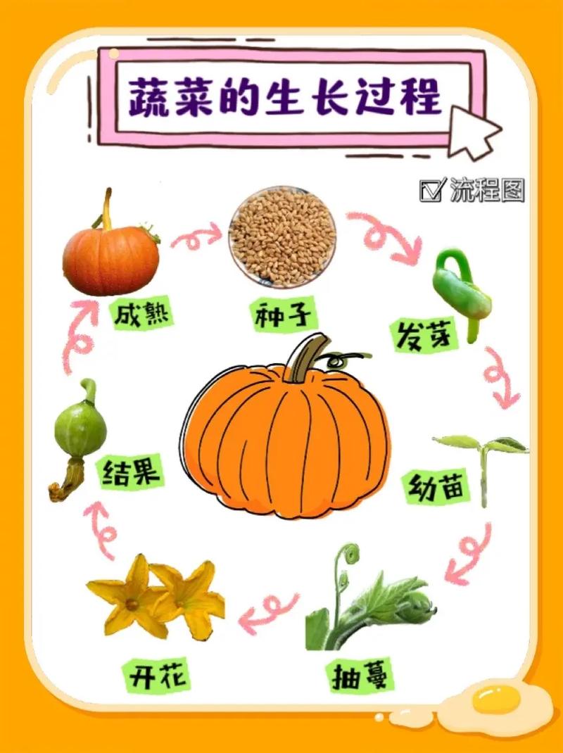 瓜果蔬菜种植技巧「所有蔬菜种植小技巧图片大全」 瓜果蔬菜种植技巧「所有蔬菜种植小技巧图片大全」 种植技巧