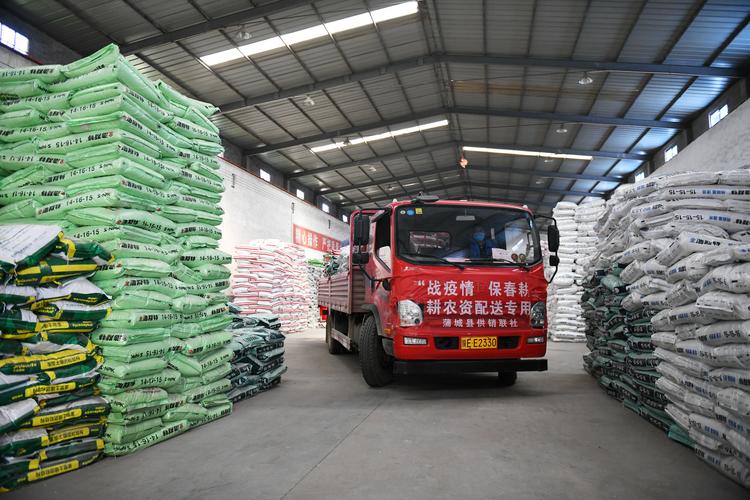 电商让农资厂家跟农户走得更近，挡在中间的农资商该怎么办「农资蔬菜种植技巧和方法」 电商让农资厂家跟农户走得更近，挡在中间的农资商该怎么办「农资蔬菜种植技巧和方法」 植物种类