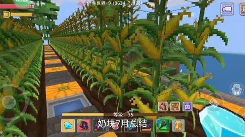 奶块西红柿籽怎么得，西红柿籽播种方法攻略详解「番茄怎么种植奶块视频」 奶块西红柿籽怎么得，西红柿籽播种方法攻略详解「番茄怎么种植奶块视频」 农业常识