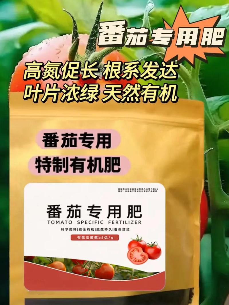 現在的西红柿红通通的为什么煮20分钟皮还撕不下来「番茄种植怎么不烂根」 現在的西红柿红通通的为什么煮20分钟皮还撕不下来「番茄种植怎么不烂根」 花朵知识