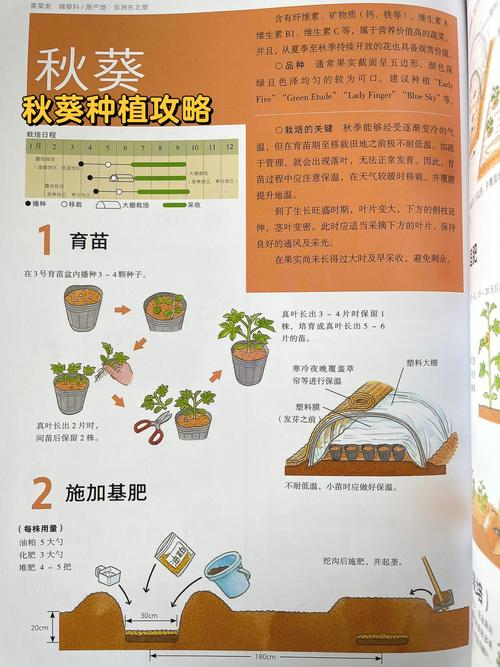 如何种好露天蔬菜「美味的蔬菜种植技巧有哪些」 如何种好露天蔬菜「美味的蔬菜种植技巧有哪些」 种植技巧