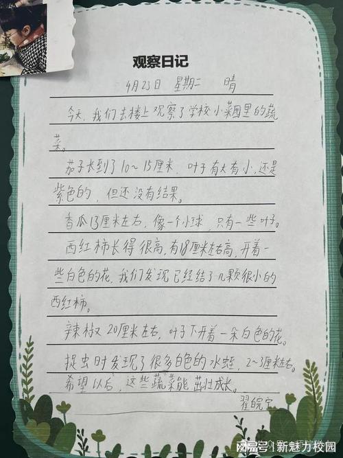 以卖菜为题写一篇日记「种植番茄日记记录怎么写的」 以卖菜为题写一篇日记「种植番茄日记记录怎么写的」 种植技巧