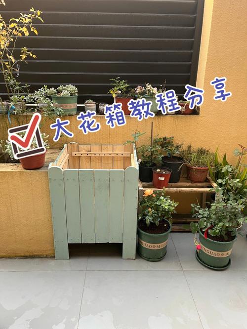 娃娃菜长得像小娃娃,在栽种的时候,应该怎样管理「花箱种植番茄怎么种植好呢」 番茄种植技巧 娃娃菜长得像小娃娃,在栽种的时候,应该怎样管理「花箱种植番茄怎么种植好呢」 娃娃菜长得像小娃娃,在栽种的时候,应该怎样管理「花箱种植番茄怎么种植好呢」 番茄种植技巧