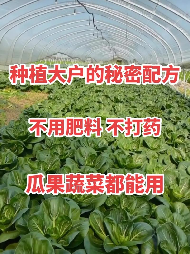 如何真正做到种植蔬菜不打农药「蔬菜种植技巧视频素材哪里找」 如何真正做到种植蔬菜不打农药「蔬菜种植技巧视频素材哪里找」 土壤施肥