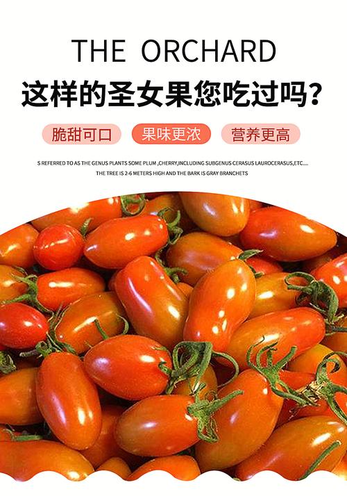 连枝番茄和圣女果哪个贵「连枝小番茄怎么种植方法视频」 连枝番茄和圣女果哪个贵「连枝小番茄怎么种植方法视频」 花朵知识