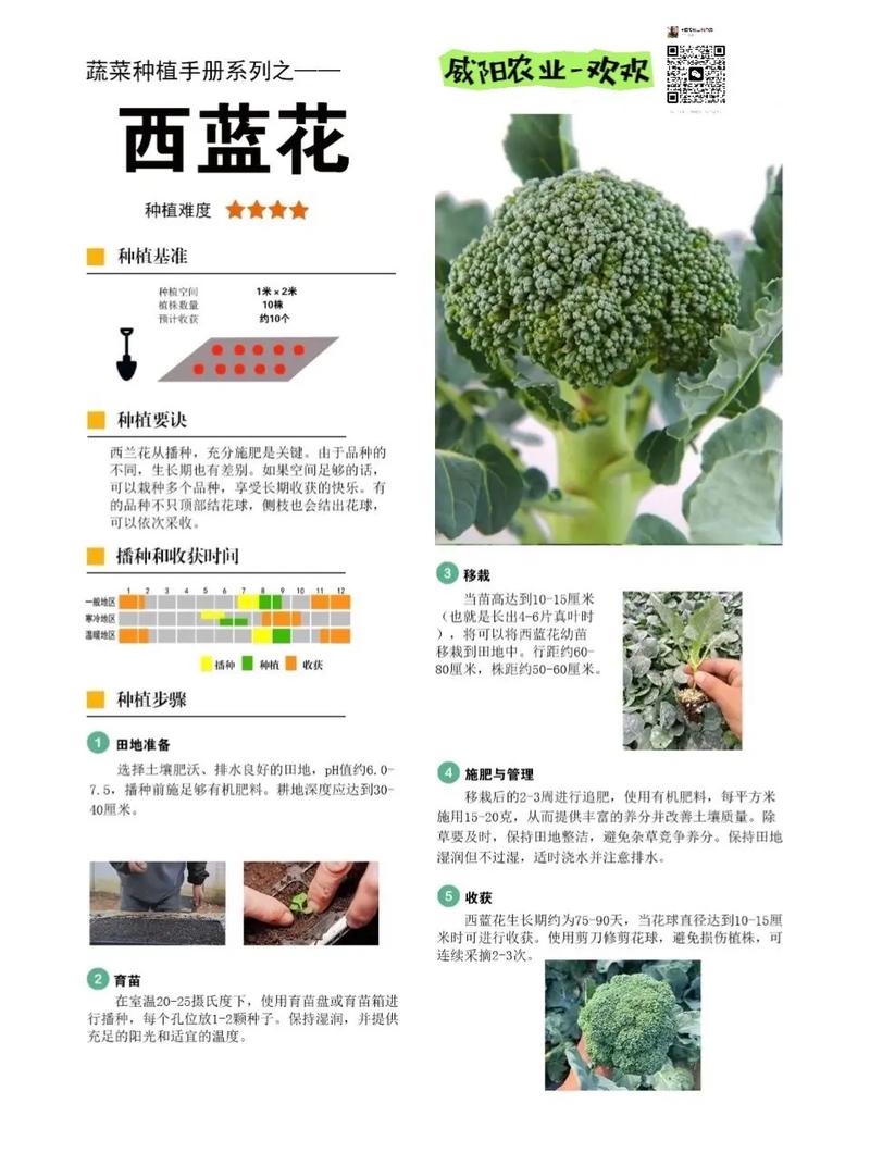 农业第四季度种的瓜果蔬菜有哪几种「瓜果蔬菜种植技巧和方法」 农业第四季度种的瓜果蔬菜有哪几种「瓜果蔬菜种植技巧和方法」 花朵知识