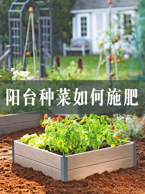 家庭种植蔬菜施肥时间和方法「蔬菜种植施肥种类和技巧视频」 家庭种植蔬菜施肥时间和方法「蔬菜种植施肥种类和技巧视频」 农业常识