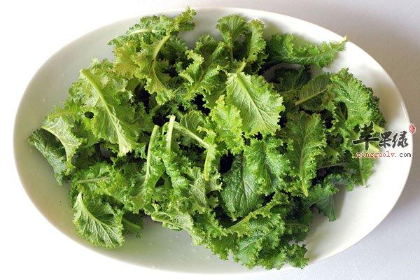 菊苣菜的吃法「油瓶怎么种植小番茄视频」 菊苣菜的吃法「油瓶怎么种植小番茄视频」 农业常识