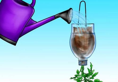 油桶种西红柿的做法「水桶番茄怎么种植的图片大全」 农业常识 油桶种西红柿的做法「水桶番茄怎么种植的图片大全」 油桶种西红柿的做法「水桶番茄怎么种植的图片大全」 农业常识