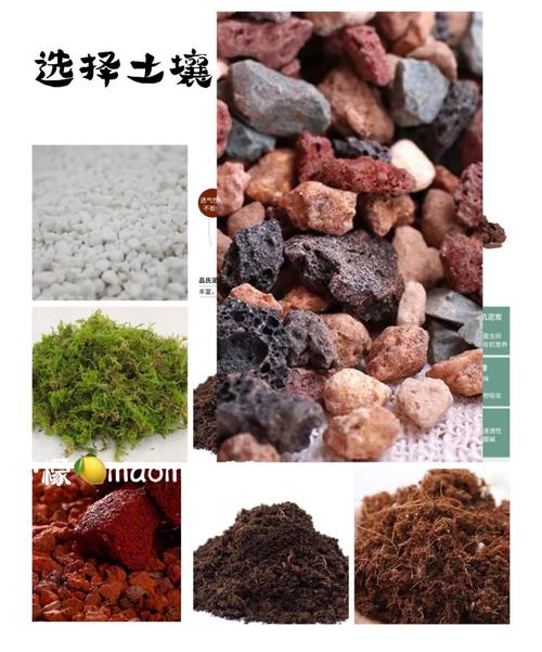 园艺植物常用的土壤管理方法「各种土壤蔬菜种植技巧视频」 园艺植物常用的土壤管理方法「各种土壤蔬菜种植技巧视频」 农业常识