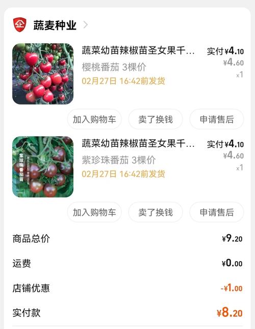紫珍珠番茄特点「珍珠果番茄怎么种植视频」 番茄种植技巧 紫珍珠番茄特点「珍珠果番茄怎么种植视频」 紫珍珠番茄特点「珍珠果番茄怎么种植视频」 番茄种植技巧