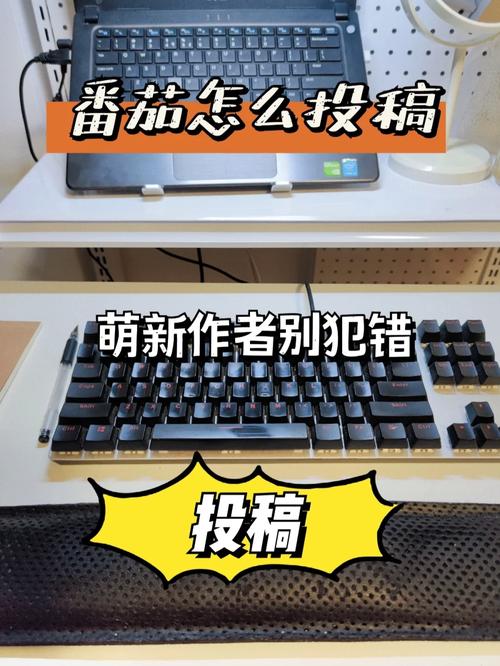 番茄畅听视频投稿任务怎么弄「怎么种植番茄玉米视频教程」 番茄畅听视频投稿任务怎么弄「怎么种植番茄玉米视频教程」 花朵知识