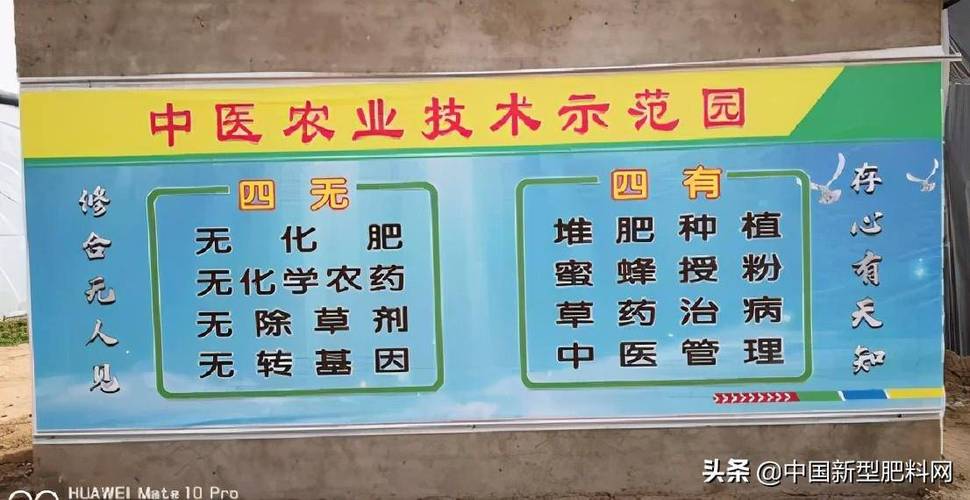 农业种植经营管理办法_种植小番茄标识怎么写的 农业种植经营管理办法_种植小番茄标识怎么写的 番茄种植技巧