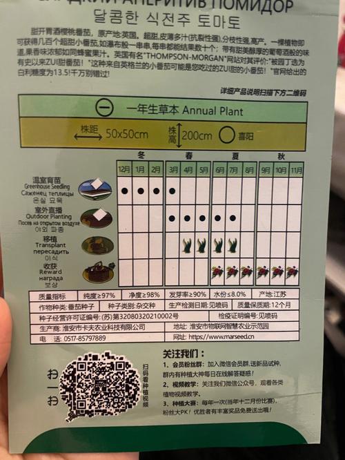 番茄种子评价文字_丰硕番茄种子怎么种植的 番茄种子评价文字_丰硕番茄种子怎么种植的 番茄种植技巧
