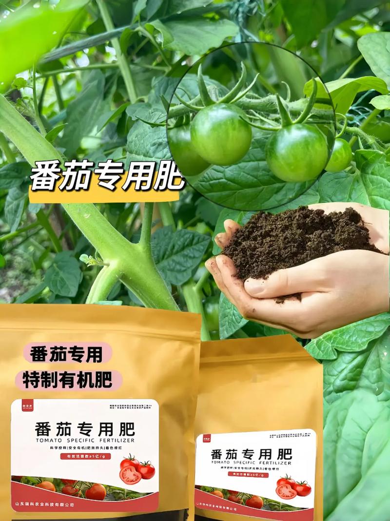 番茄种植施肥管理技术都有哪些_番茄种植需要怎么施肥呢视频 番茄种植施肥管理技术都有哪些_番茄种植需要怎么施肥呢视频 种植技巧
