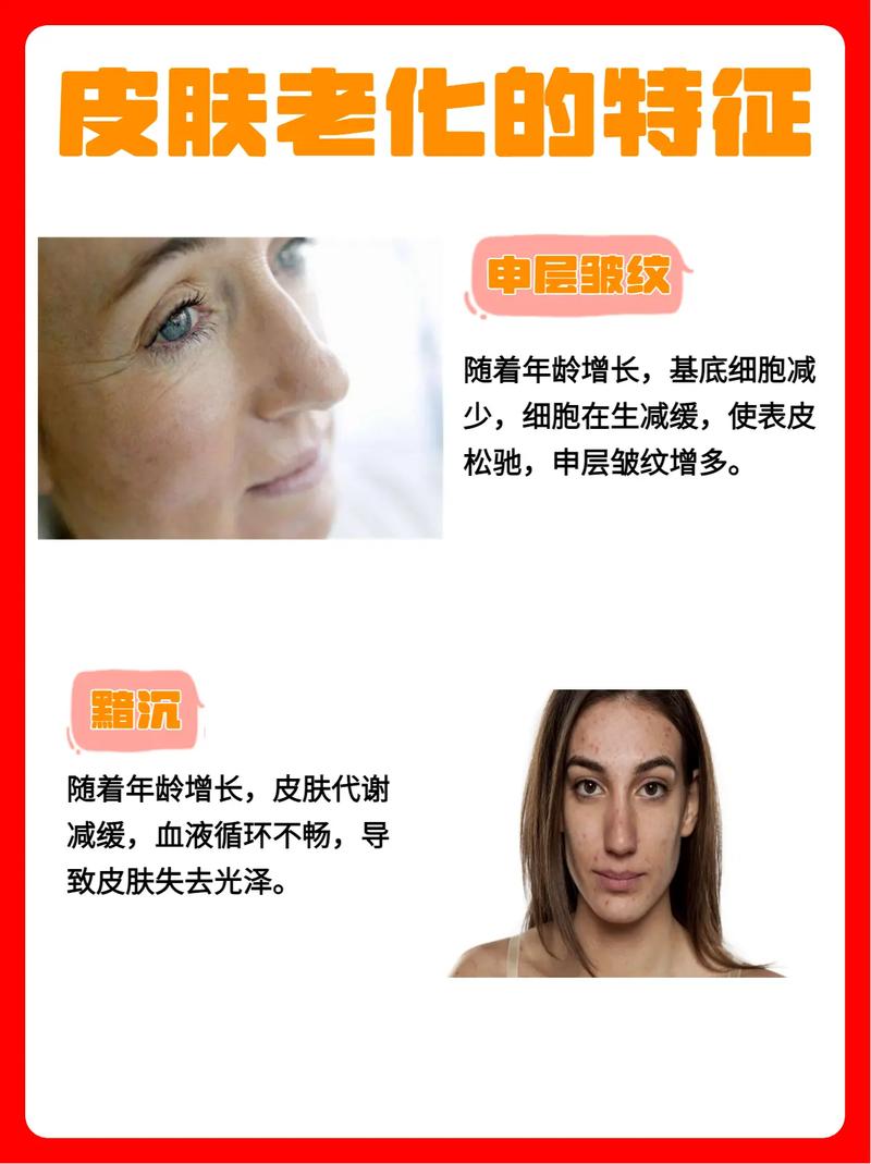 如何保持年轻的容颜_小番茄怎么种植皮不老化 如何保持年轻的容颜_小番茄怎么种植皮不老化 种植技巧